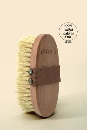 براش سلولیت eweLa - کد 877231821