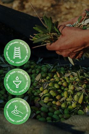 روغن زیتون Hayal Bahçe