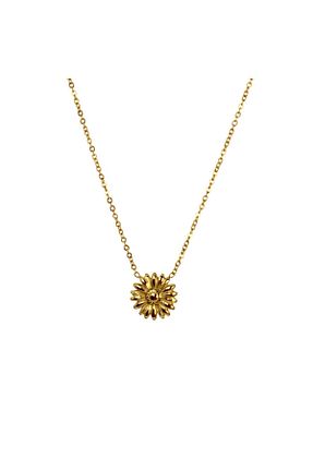 گردنبند استیل ( فولاد ) طلائی استیل ضد زنگ Meiloras - کد 921090093