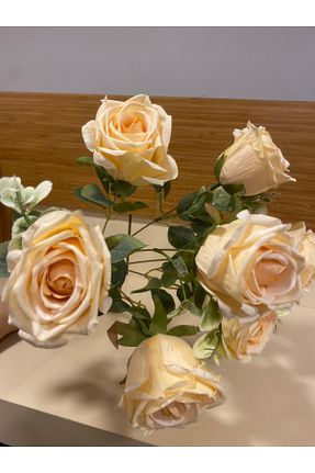 گل خشک و مصنوعی نباتی PLUS HOME - کد 921616106