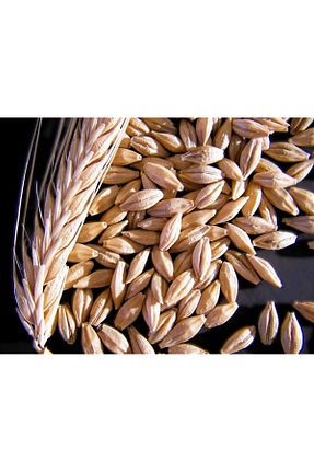 سایر حبوبات خشک Asi - کد 920837762