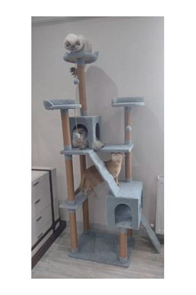  طوسی Nursoft - کد 920007242