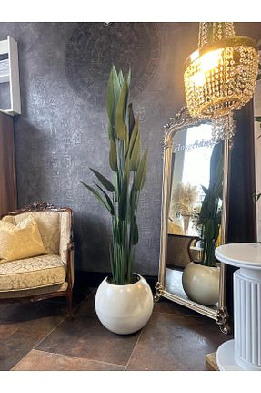 گل خشک و مصنوعی سبز Çiçek Box - کد 920314375