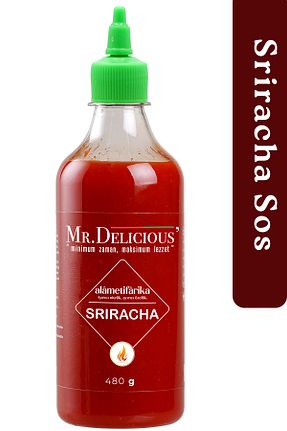 سایر سسها Mr.Delicious