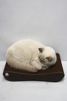  قهوه ای Lazy Paws - کد 831573168