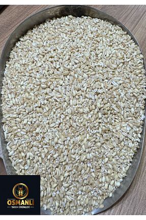 گندم OSMANLI TARIM - کد 917233559