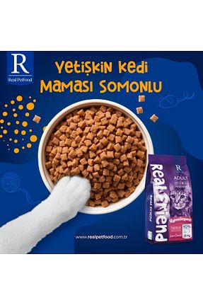 غذای خشک گربه خیر Real Friend - کد 897928789