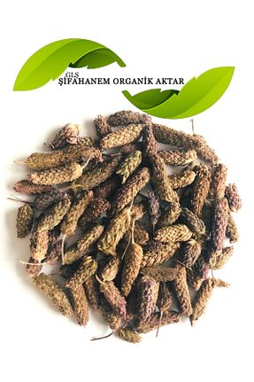 بذر و گیاه GLŞ ŞİFAHANEM ORGANİK AKTAR - کد 43486143