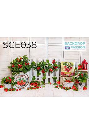 اکسسوری عکاسی و فیلم برداری رنگی Nişantaşı Grup - کد 922489704