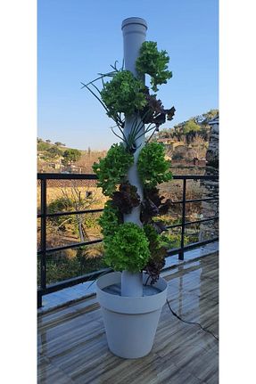 باغچه سرگرمی Tarks - کد 906564446