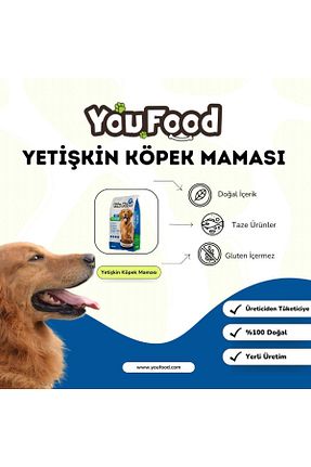  Yetişkin (1 - 7 سال) YOUFOOD - کد 924123725