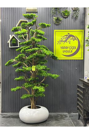 گل خشک و مصنوعی نباتی İremÇiçekçilik - کد 923841464