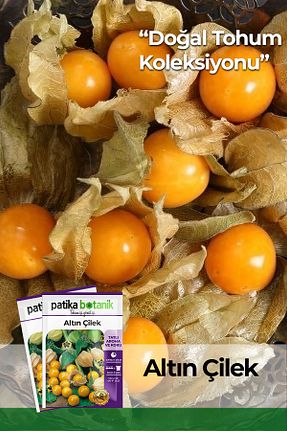 بذرها Meyve Tohumu Patika Botanik - کد 924045752