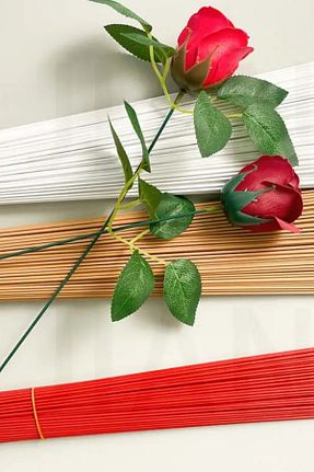 گل خشک و مصنوعی سبز MD Aspiz Flowers - کد 924256736