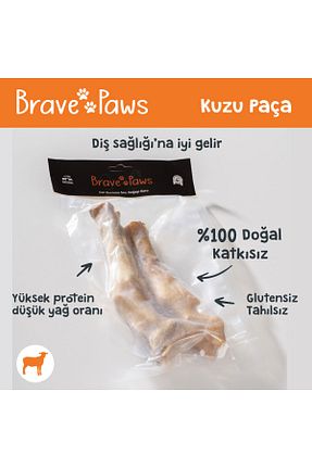  BRAVE PAWS - کد 839716705