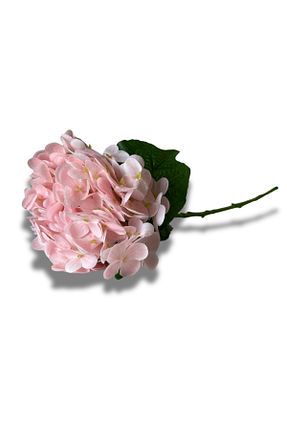 گل خشک و مصنوعی صورتی NilCan Flora - کد 924624595
