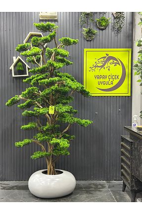 گل خشک و مصنوعی نباتی İremÇiçekçilik - کد 923841464