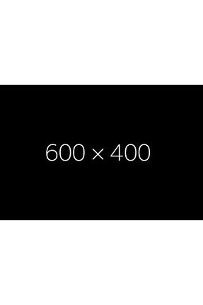 کرم ضد آفتاب صورت SPF 50 + Eveline Cosmetics - کد 735398661