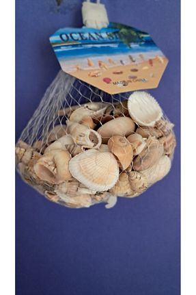 دکوراسیون و اکسسوری اکواریوم blackleg - کد 924428001