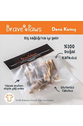  BRAVE PAWS - کد 840067872