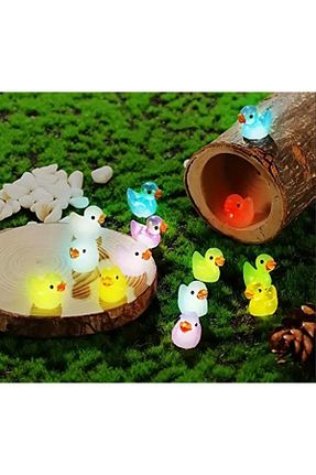 تراریوم و ساکولنت Karma Atölye - کد 923741686