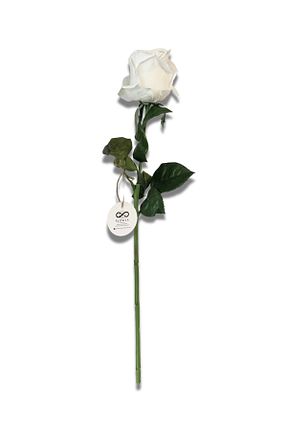 گل خشک و مصنوعی سفید NilCan Flora - کد 924627580