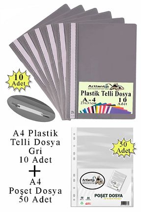کلاسور طوسی Artlantis - کد 924999436