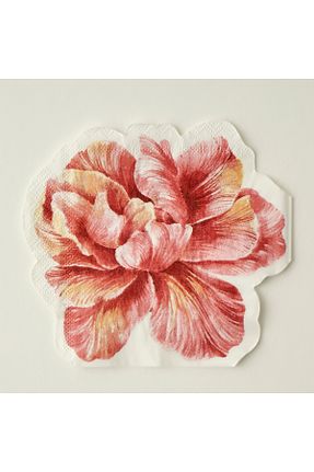 دستمال کاغذی Bella Maison - کد 925714094