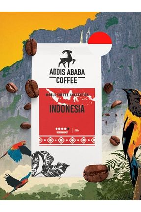 قهوه فیلتر و دانه Addis Ababa Coffee - کد 841574748