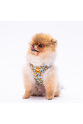 Günlük Ayakkabı فیروزه ای Pawstar - کد 734269948