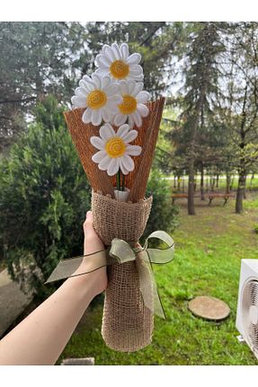 گل خشک و مصنوعی سفید çınar kadın kooperatifi - کد 804150321