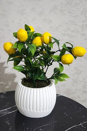 گلدان سفید LUZAB - کد 926367586