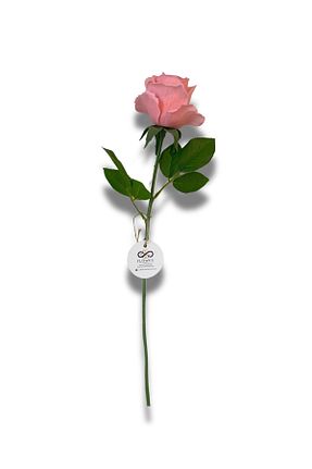 گل خشک و مصنوعی صورتی NilCan Flora - کد 925450481