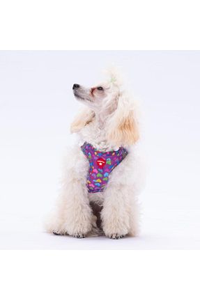 Günlük Ayakkabı بنفش Pawstar - کد 734089369