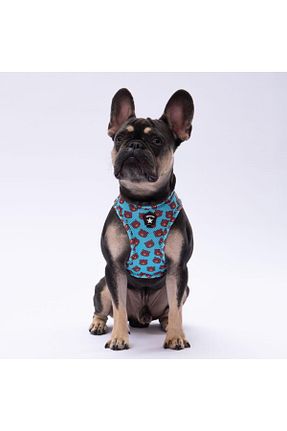  فیروزه ای Pawstar - کد 817290219