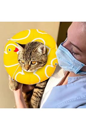  vet advice - کد 925730601
