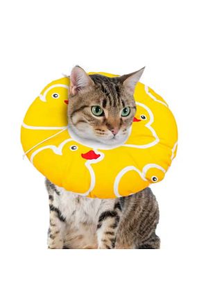  vet advice - کد 925730601