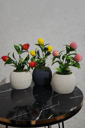 گلدان رنگی LUZAB - کد 926363762