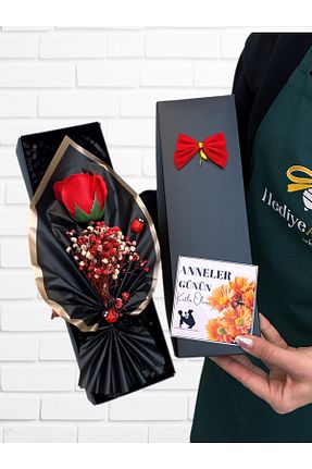 هدیه مفهومی HediyeArıları - کد 926961830