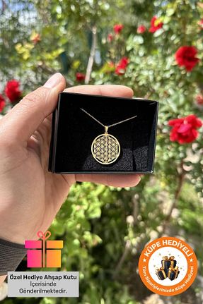 گردنبند نقره طلائی زنانه 925 عیار Lucente Jewellery - کد 753442637