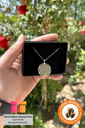 گردنبند نقره طلائی زنانه 925 عیار Lucente Jewellery - کد 753442056