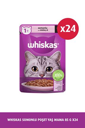 غذای خشک گربه خیر Whiskas - کد 88615272