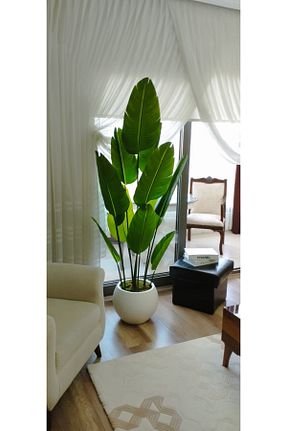 گل خشک و مصنوعی نباتی İremÇiçekçilik - کد 927642247