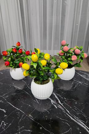 گلدان رنگی LUZAB - کد 926365983