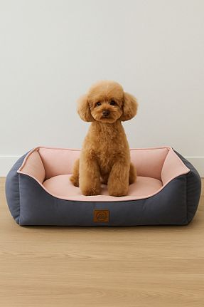  طوسی Jungo Pets - کد 733974852