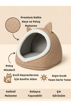  BEYLİNİ - کد 810592913