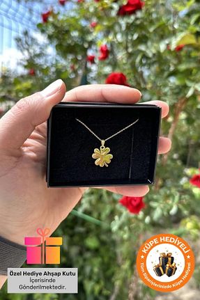 گردنبند نقره طلائی زنانه 925 عیار Lucente Jewellery - کد 753011370