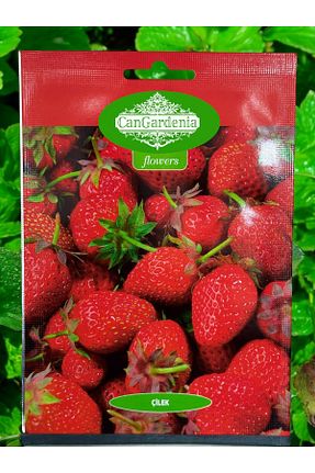 بذرها Çiçek Tohumu cangardenia - کد 927527157