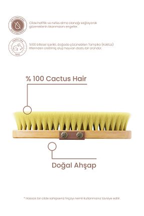 براش سلولیت Cosmogenesis Labs - کد 385004567