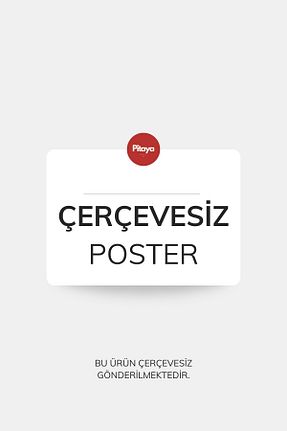 تابلو رنگی Kağıt PİTAYA - کد 896742244